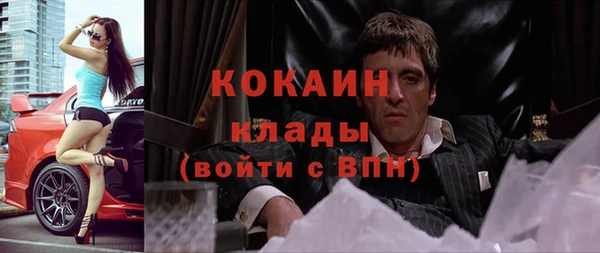 шишки Михайловка