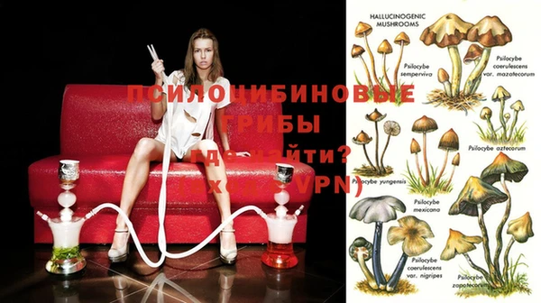 кокаин премиум Михайловск