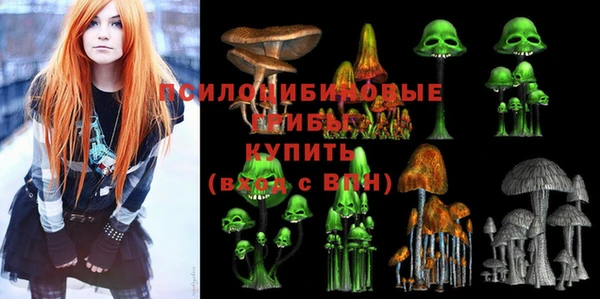 шишки Михайловка