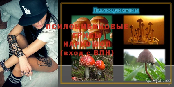 шишки Михайловка
