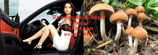 дмт Наволоки