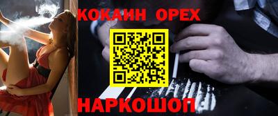 дмт Аргун