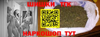 дмт Аргун