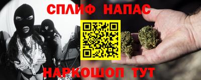 дмт Аргун