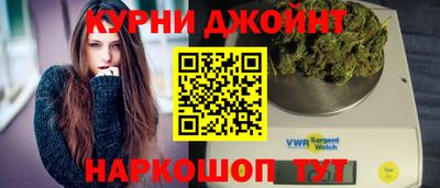 дмт Аргун