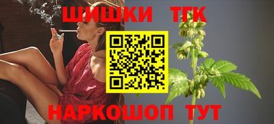 дмт Аргун
