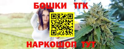 индика Балахна