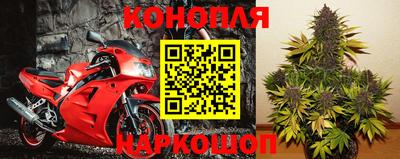дмт Аргун