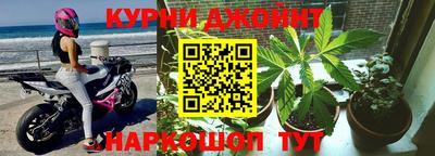 дмт Аргун
