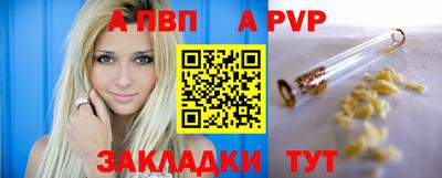 дмт Аргун