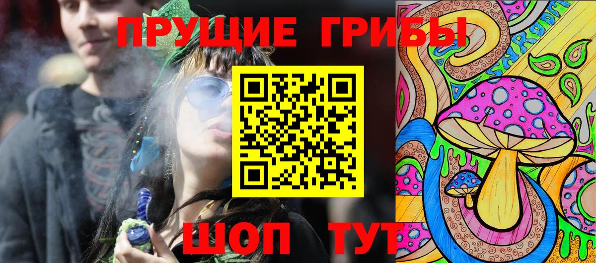 купить закладку  Вход с VPN  Астрахань  Псилоцибиновые грибы Cubensis  Псилоцибиновые грибы GOLDEN TEACHER 