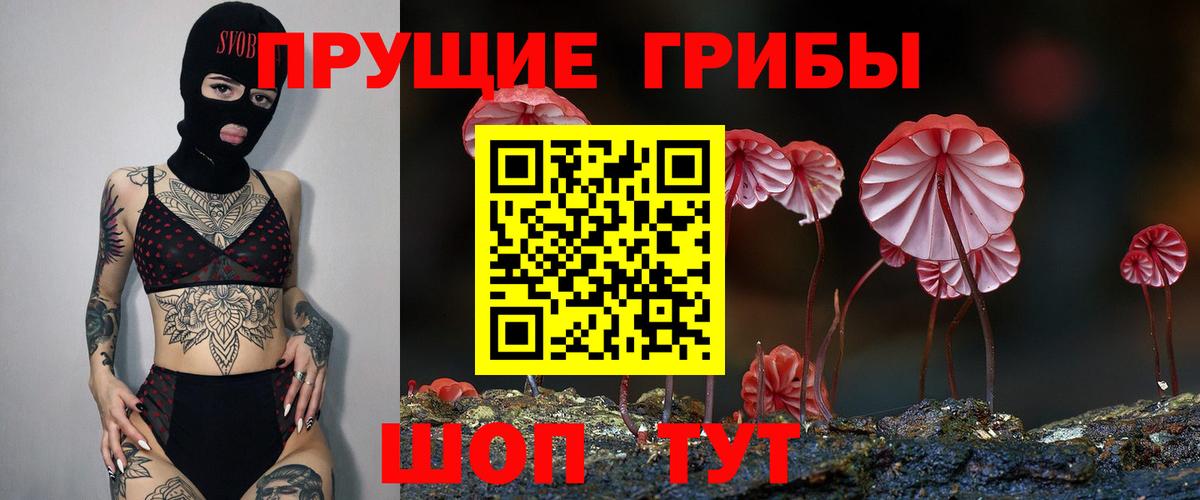 Галлюциногенные грибы Cubensis Астрахань